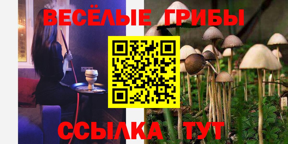 Назарово  Галлюциногенные грибы Psilocybe  Вход с VPN 