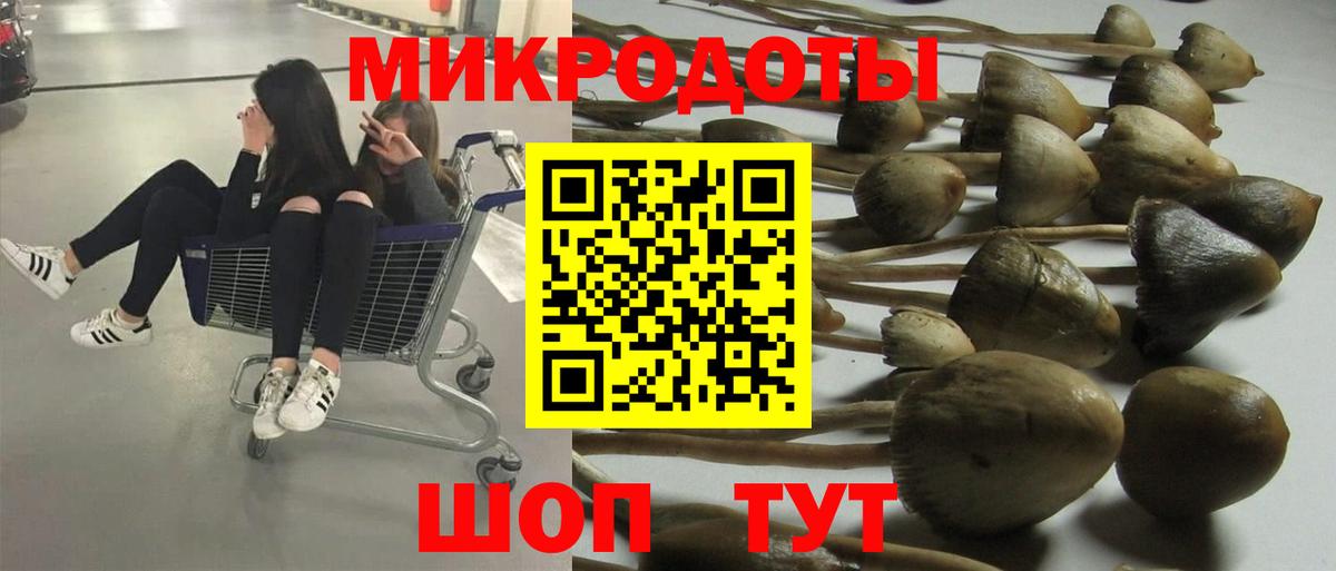 Галлюциногенные грибы Psilocybe Назарово
